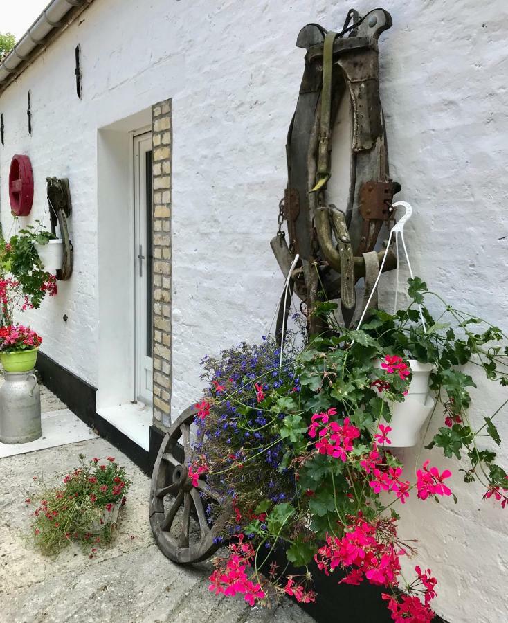 La Ferme Wessiere Guest House Oye-Plage Eksteriør bilde